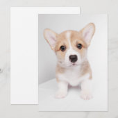 Niedliche Kleintiere | Tiny Corgi Dankeskarte (Vorne/Hinten)