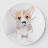 Niedliche Kleintiere | Tiny Corgi Große Wanduhr (Vorderseite)