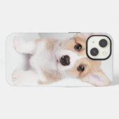 Niedliche Kleintiere | Tiny Corgi iPhone Hülle (Rückseite (Horizontal))