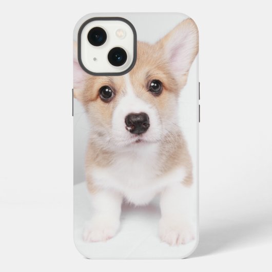 Niedliche Kleintiere | Tiny Corgi iPhone Hülle (Rückseite)