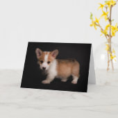 Niedliche Kleintiere | Tiny Corgi Karte (Gelbe Blume)