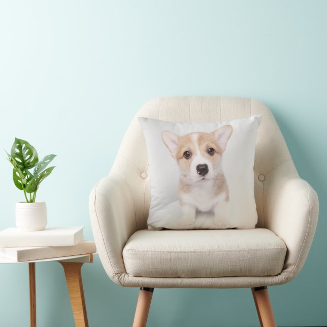 Niedliche Kleintiere | Tiny Corgi Kissen (Stuhl )