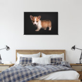 Niedliche Kleintiere | Tiny Corgi Leinwanddruck (Insitu (Schlafzimmer))