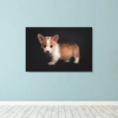 Niedliche Kleintiere | Tiny Corgi Leinwanddruck (Insitu (Holzboden))