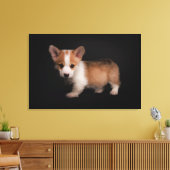 Niedliche Kleintiere | Tiny Corgi Leinwanddruck (Insitu (Wohnzimmer))