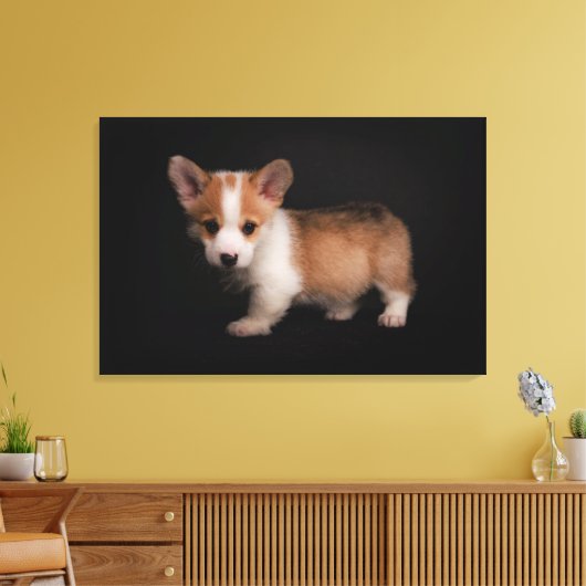 Niedliche Kleintiere | Tiny Corgi Leinwanddruck (Insitu (Wohnzimmer))