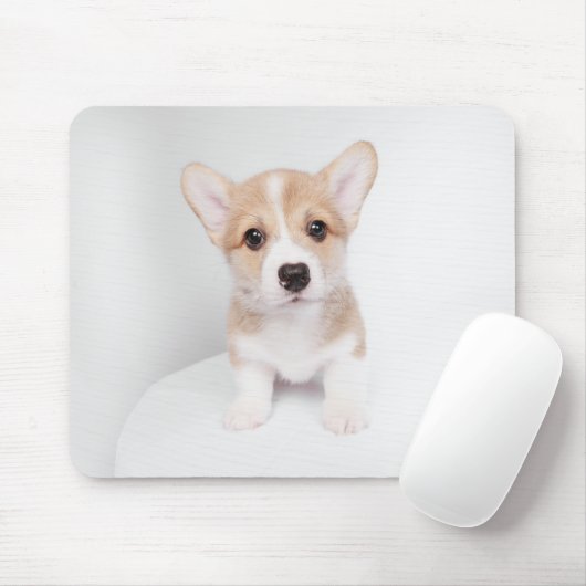 Niedliche Kleintiere | Tiny Corgi Mousepad (Mit Mouse)