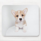 Niedliche Kleintiere | Tiny Corgi Mousepad (Vorne)