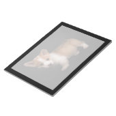 Niedliche Kleintiere | Tiny Corgi Notizblock (angewinkelt)