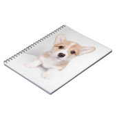 Niedliche Kleintiere | Tiny Corgi Notizblock (Linke Seite)