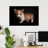Niedliche Kleintiere | Tiny Corgi Poster (Heimbüro)