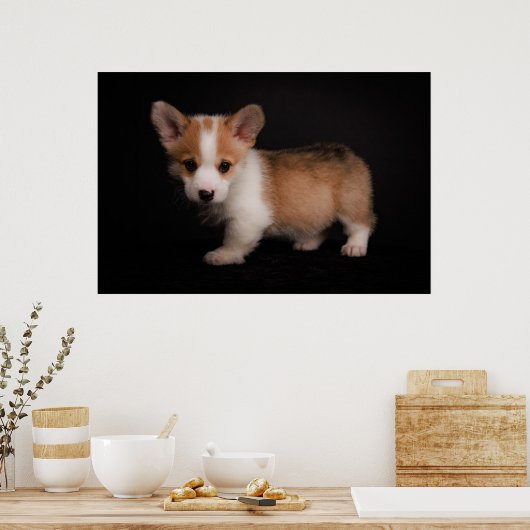 Niedliche Kleintiere | Tiny Corgi Poster (Küche)
