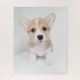Niedliche Kleintiere   Tiny Corgi Puzzle
