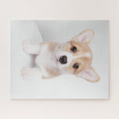 Niedliche Kleintiere | Tiny Corgi Puzzle (Horizontal)