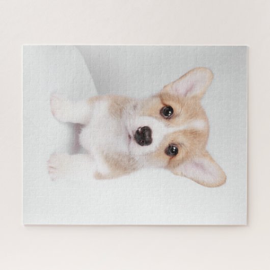 Niedliche Kleintiere | Tiny Corgi Puzzle (Horizontal)