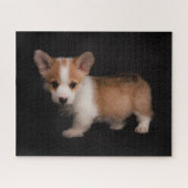 Niedliche Kleintiere | Tiny Corgi Puzzle (Horizontal)