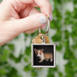 Niedliche Kleintiere Tiny Corgi Schlüsselanhänger