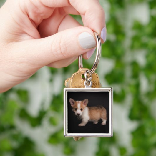 Niedliche Kleintiere | Tiny Corgi Schlüsselanhänger (Hand)