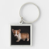 Niedliche Kleintiere | Tiny Corgi Schlüsselanhänger (Vorne)