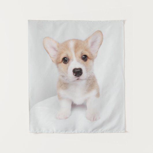 Niedliche Kleintiere | Tiny Corgi Wandteppich (Vorderseite)