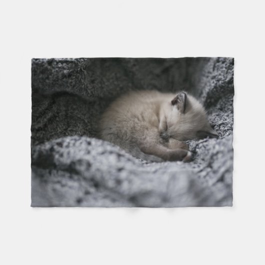Niedliche Kleintiere | Tiny Kitten Schlafen Fleecedecke (Vorderseite (Horizontal))
