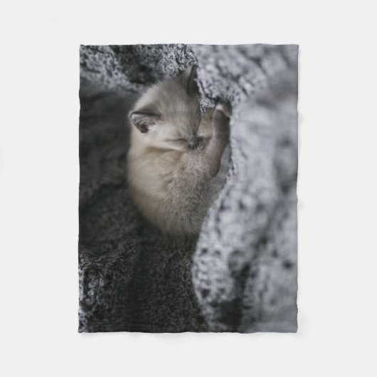 Niedliche Kleintiere | Tiny Kitten Schlafen Fleecedecke (Vorderseite)