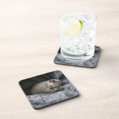 Niedliche Kleintiere | Tiny Kitten Schlafen Getränkeuntersetzer (Rechte Seite)