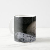 Niedliche Kleintiere | Tiny Kitten Schlafen Kaffeetasse (Vorderseite Links)