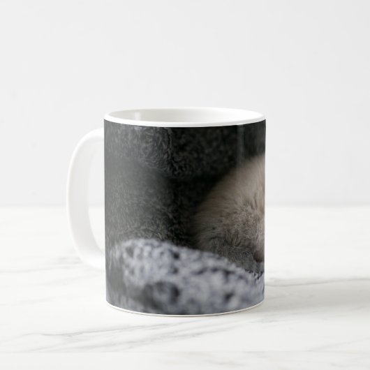 Niedliche Kleintiere | Tiny Kitten Schlafen Kaffeetasse (Vorderseite Links)