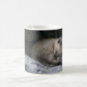 Niedliche Kleintiere | Tiny Kitten Schlafen Kaffeetasse (Mittel)