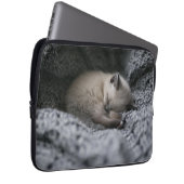 Niedliche Kleintiere | Tiny Kitten Schlafen Laptopschutzhülle (Vorne Rechts)