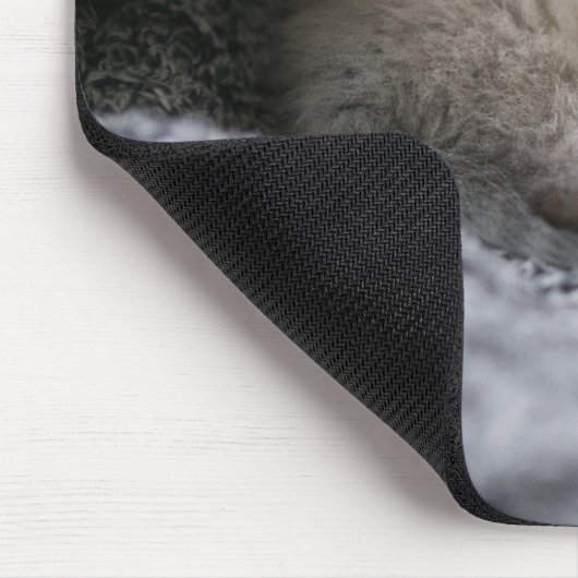 Niedliche Kleintiere | Tiny Kitten Schlafen Mousepad (Ecke)