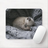Niedliche Kleintiere | Tiny Kitten Schlafen Mousepad (Mit Mouse)