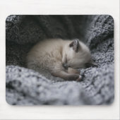 Niedliche Kleintiere | Tiny Kitten Schlafen Mousepad (Vorne)