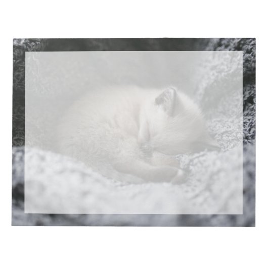 Niedliche Kleintiere | Tiny Kitten Schlafen Notizblock (Vorderseite)