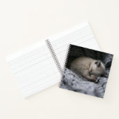 Niedliche Kleintiere | Tiny Kitten Schlafen Notizblock (Innenseite)