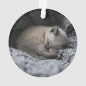 Niedliche Kleintiere | Tiny Kitten Schlafen Ornament (Rückseite)