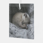 Niedliche Kleintiere | Tiny Kitten Schlafen Ornament Aus Glas (Vorderseite links)