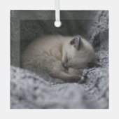 Niedliche Kleintiere | Tiny Kitten Schlafen Ornament Aus Glas (Vorderseite)