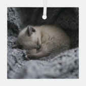Niedliche Kleintiere | Tiny Kitten Schlafen Ornament Aus Glas (Rückseite)