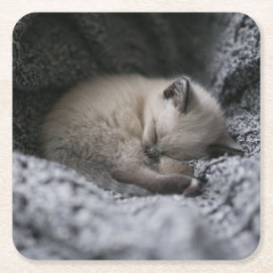 Niedliche Kleintiere Tiny Kitten Schlafen Rechteckiger Pappuntersetzer