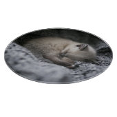 Niedliche Kleintiere | Tiny Kitten Schlafen Schneidebrett (Ecke)