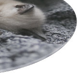 Niedliche Kleintiere | Tiny Kitten Schlafen Schneidebrett (Ecke)