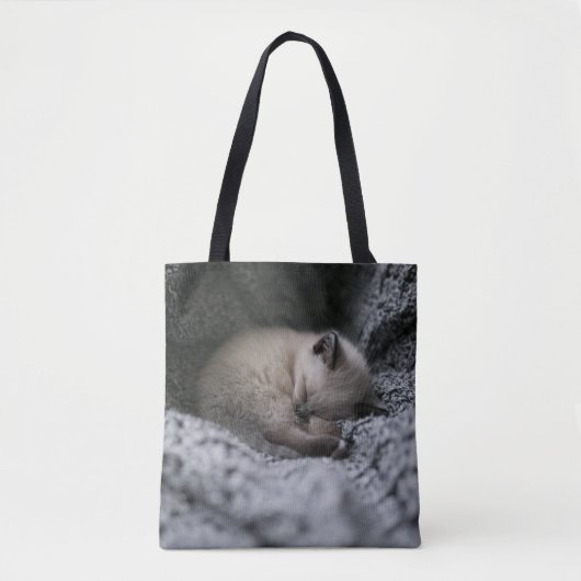 Niedliche Kleintiere | Tiny Kitten Schlafen Tasche (Vorderseite)