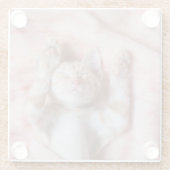 Niedliche Kleintiere | Tiny Orange Striped Kitten Glasuntersetzer (Rückseite)
