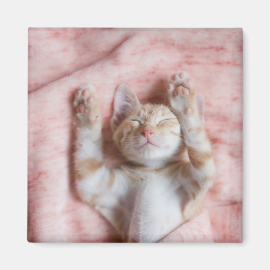 Niedliche Kleintiere | Tiny Orange Striped Kitten Magnet (Vorne)