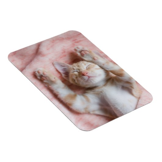 Niedliche Kleintiere | Tiny Orange Striped Kitten Magnet (Rechte Seite)