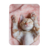 Niedliche Kleintiere | Tiny Orange Striped Kitten Magnet (Vertikal)