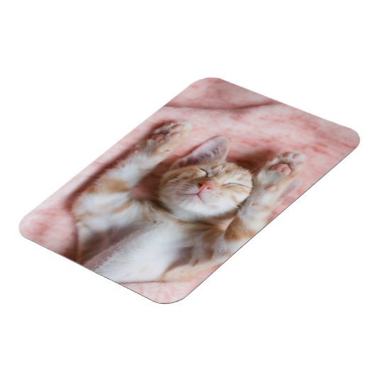 Niedliche Kleintiere | Tiny Orange Striped Kitten Magnet (Linke Seite)
