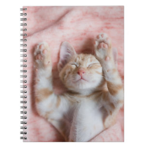 Niedliche Kleintiere Tiny Orange Striped Kitten Notizblock